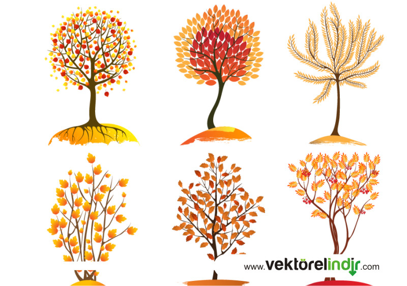 Ağaç Vektörel, Sonbahar, Ağaçları